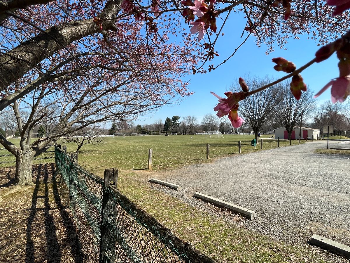 22f98896-d851-61e1-4f85-0d6fb7ba4d0d