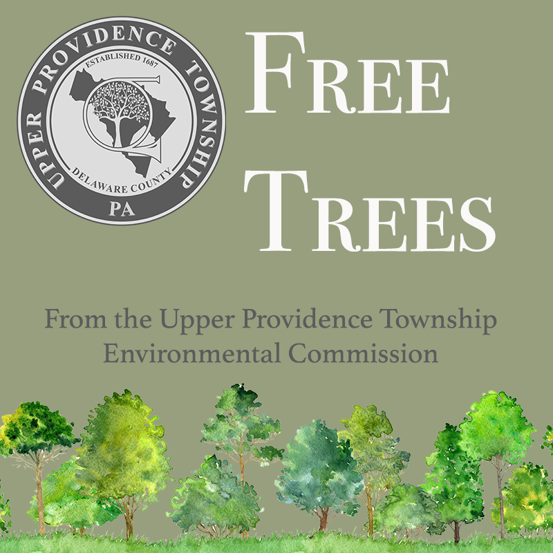 eaea9dc6-b89b-6b0b-3392-0646134ff08a