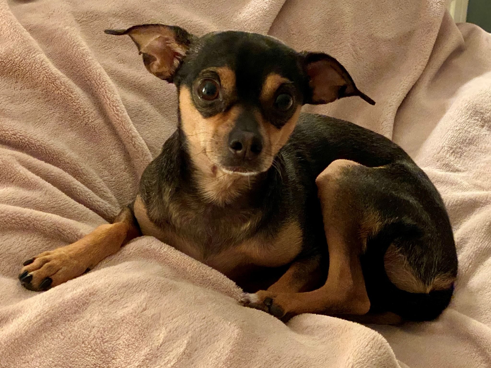 BD8D2D56-465F-48EA-8D8F-4DA8AE8B7CF6 (1)