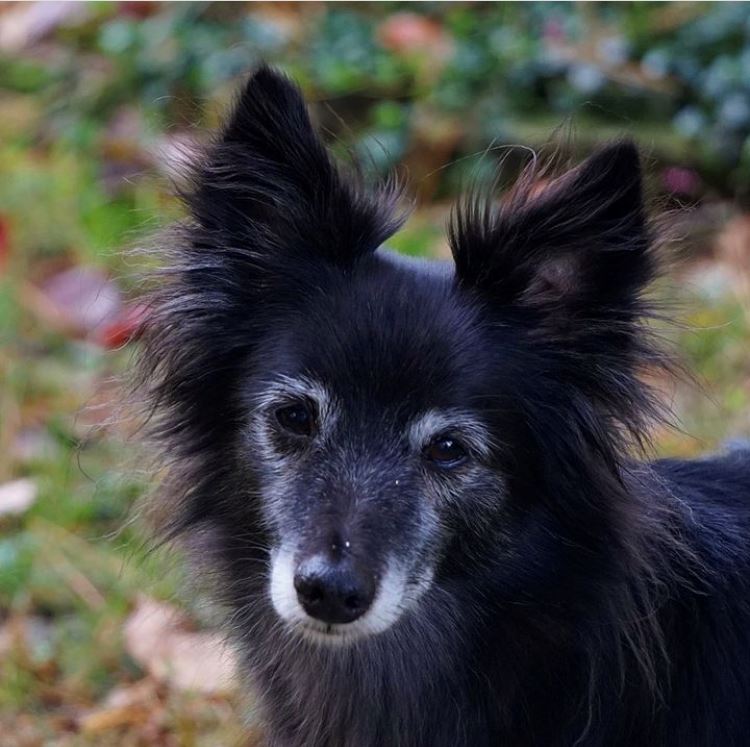 8F93DB6B-6067-4098-AB42-A03F208F87AC