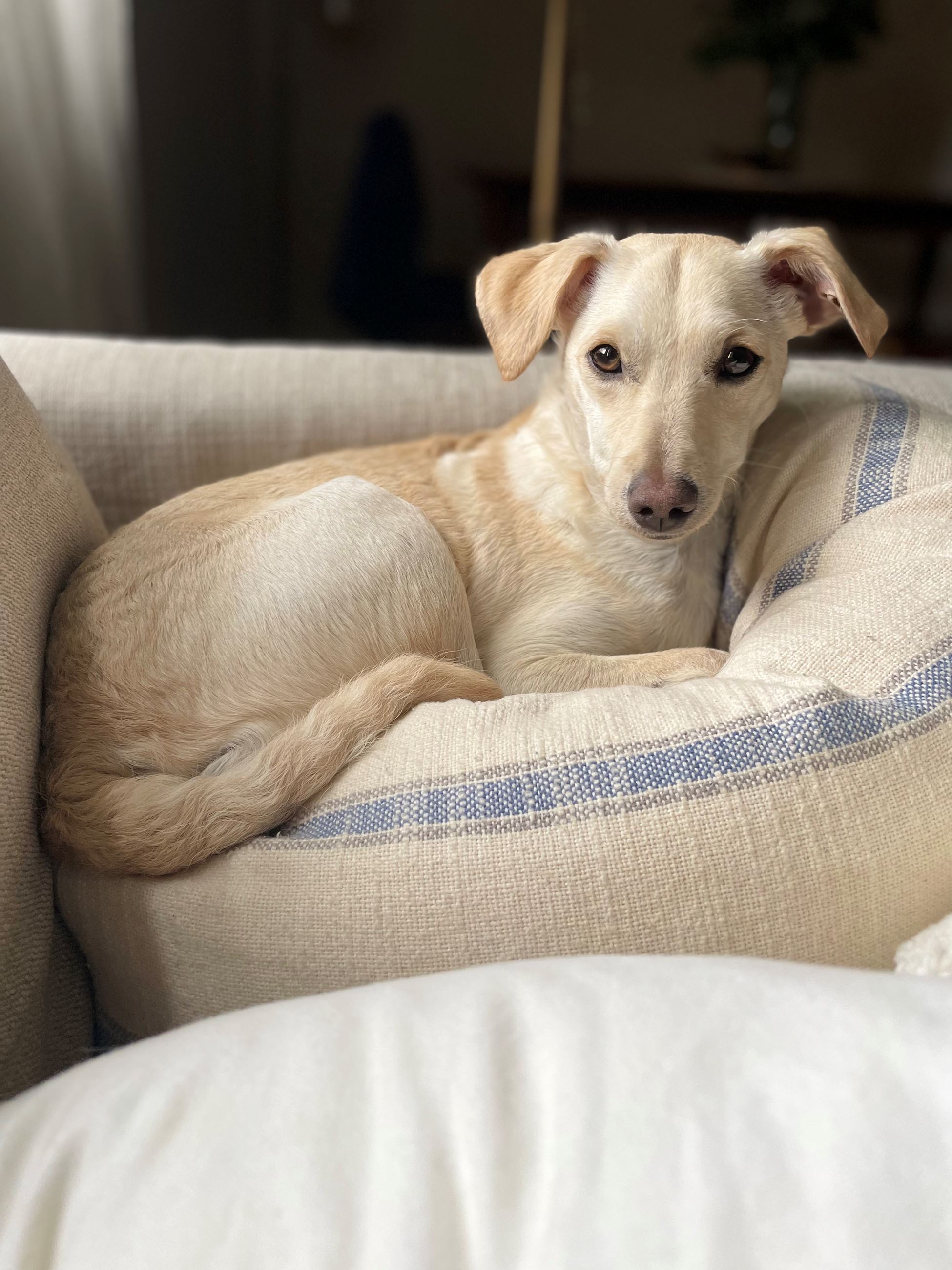 94311489-0F5D-42CB-BF4A-A8D676BD20E8