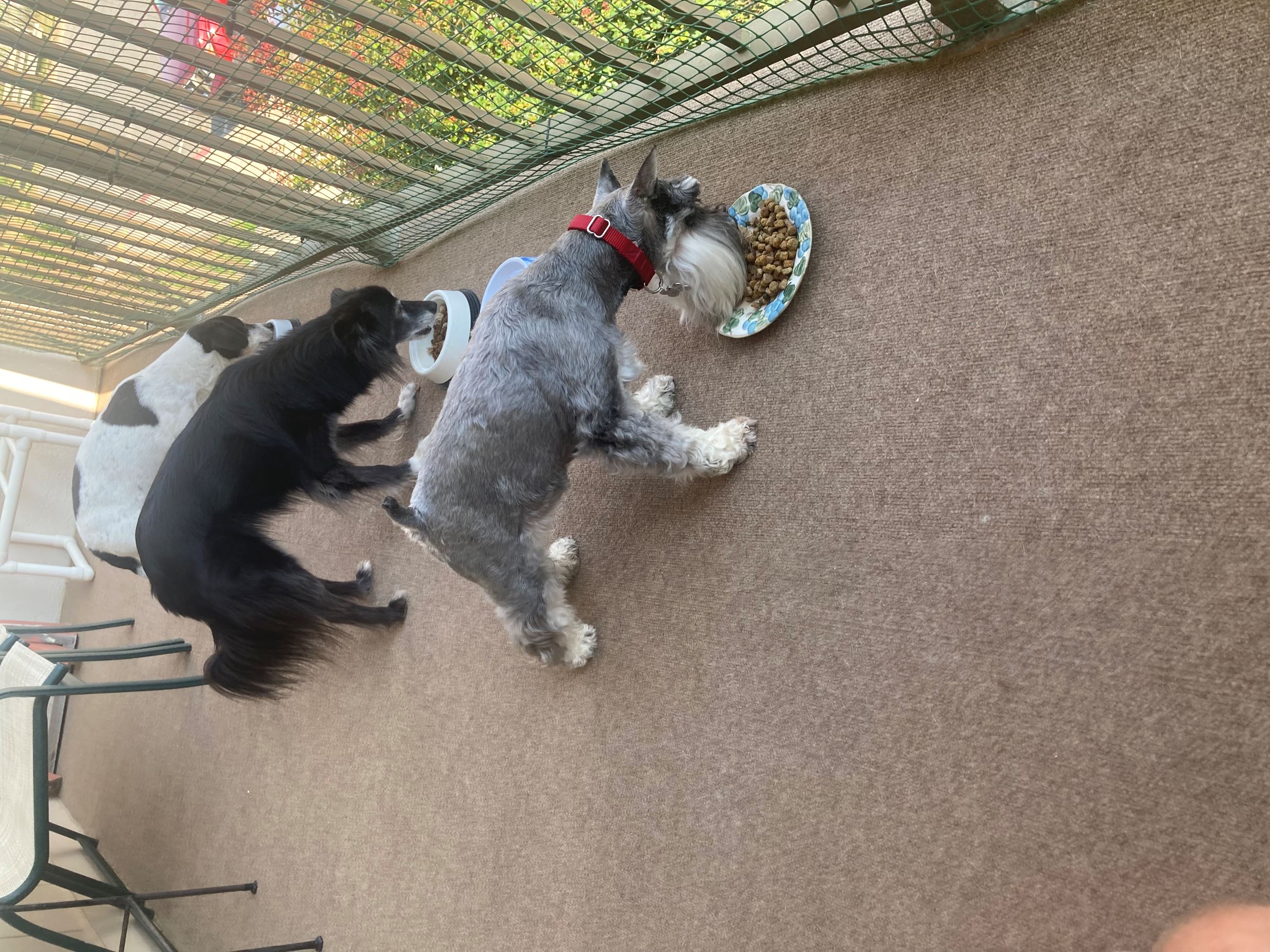 389126FB-D36F-4548-8862-0305735A620B (1)