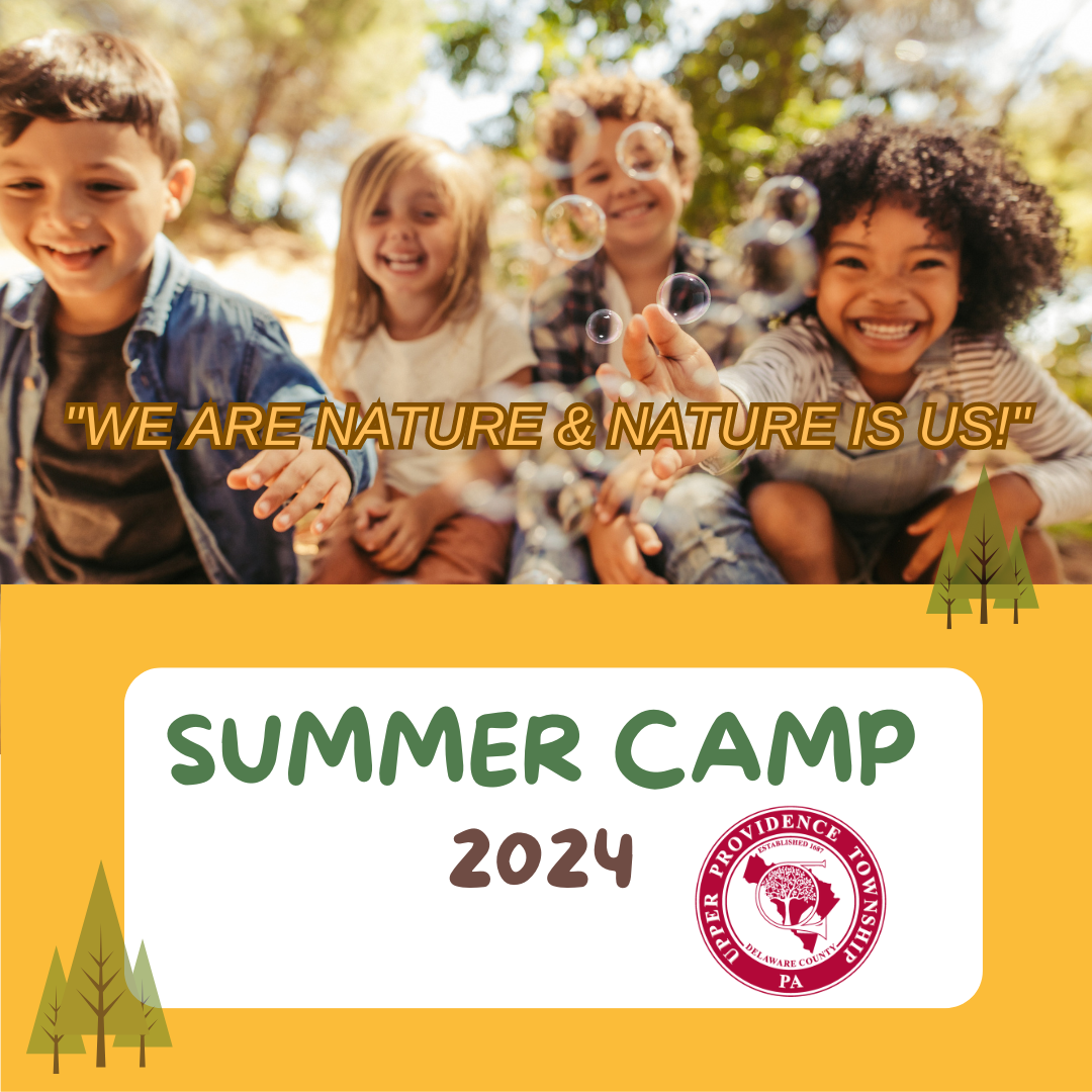 Summer Camp 2024 - UPT