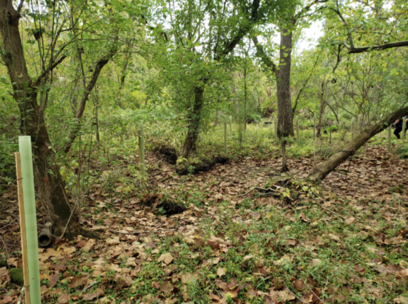 Screen Shot 2022-02-08 at 4.57.17 PM